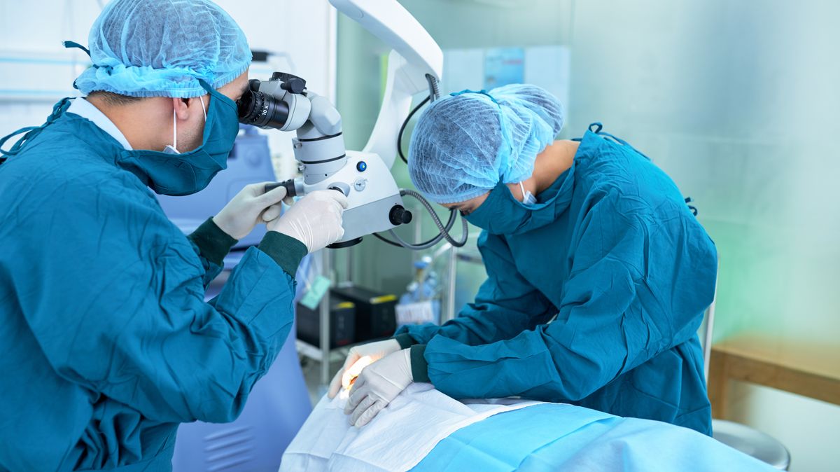Jihlavští lékaři využili jako první v Česku k léčbě implantát Iluvien